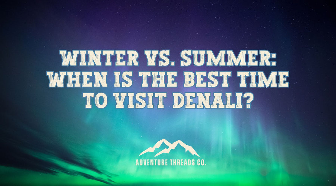 Winter vs. Summer: When Is the Best Time to Visit Denali?