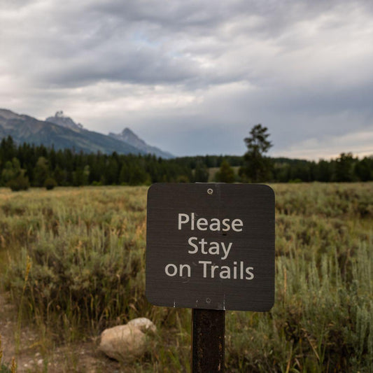 Exploring the Great Outdoors: Tips for Safe Fall Hiking - Adventure Threads Company