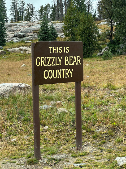 Tips for Hiking in Bear Country - Adventure Threads Company