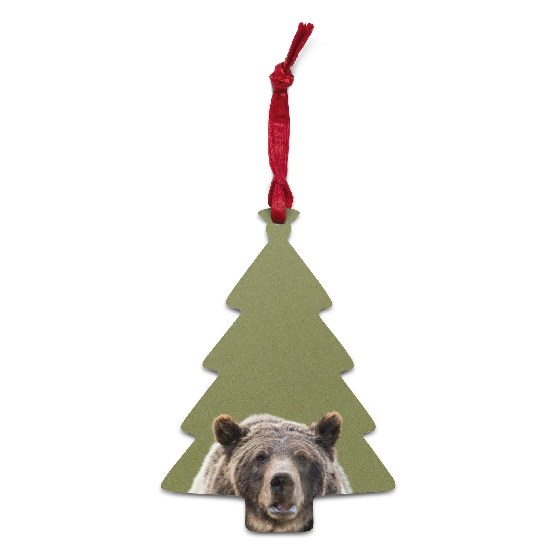 Grizzly Bear 399 Wooden Ornament - Adventure Threads Company