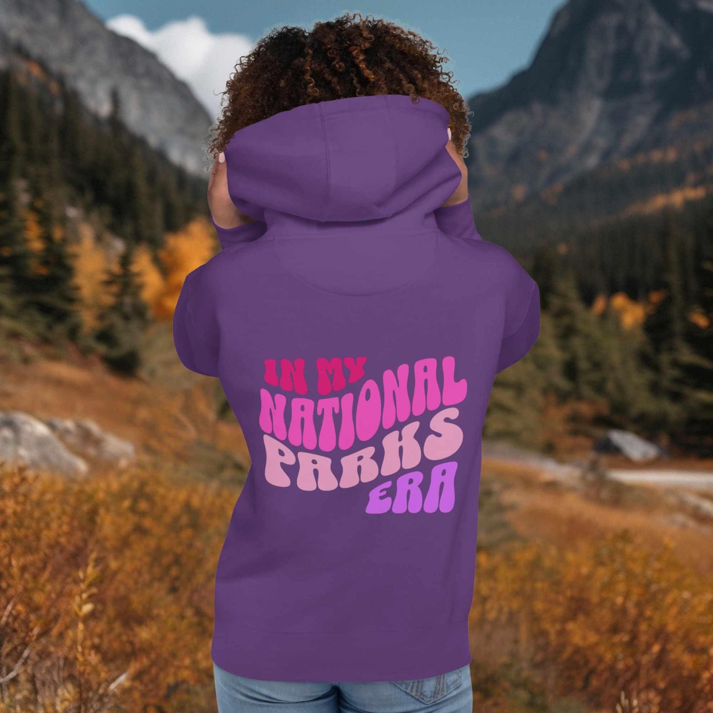 National Parks Era Hoodie - Adventure Threads Company
