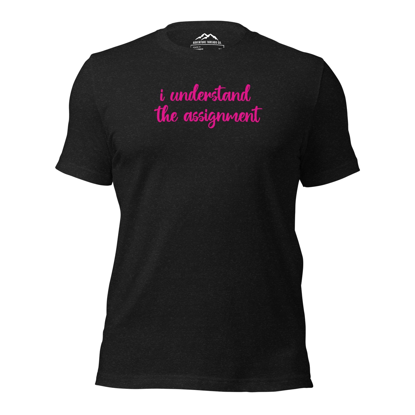 I Understand the Assignment T-Shirt