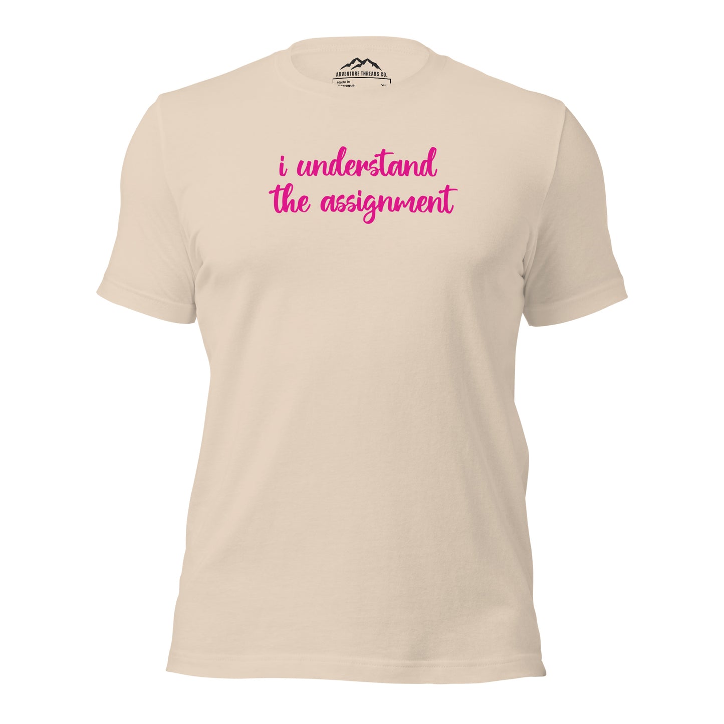 I Understand the Assignment T-Shirt