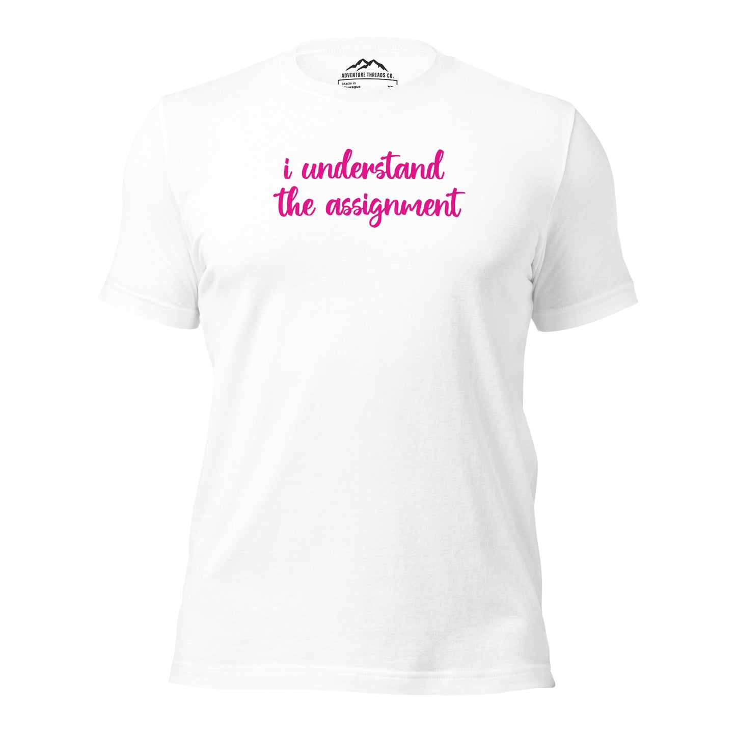 I Understand the Assignment T-Shirt